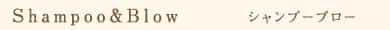 シャンプーブロー